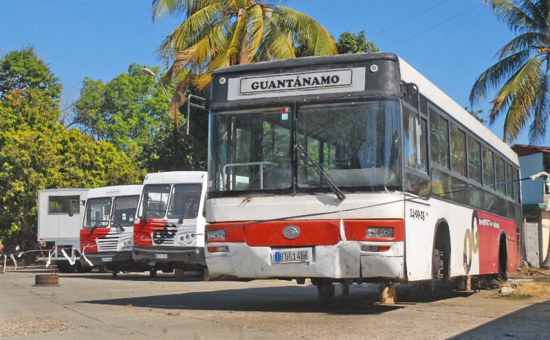 3 omnibus
