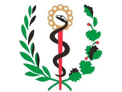 logo salud