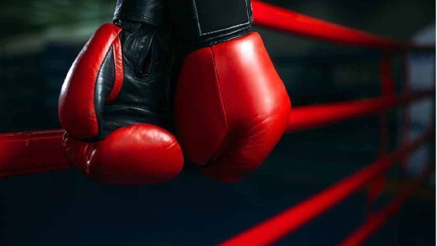 100679 reglas boxeo thumb 620