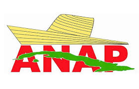 ANAPlogo
