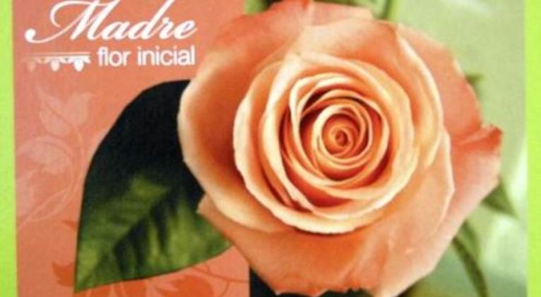 dia madres