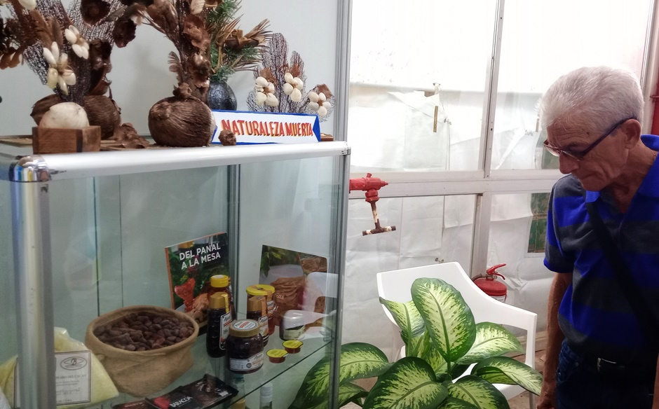 guantanamo feria habana 4