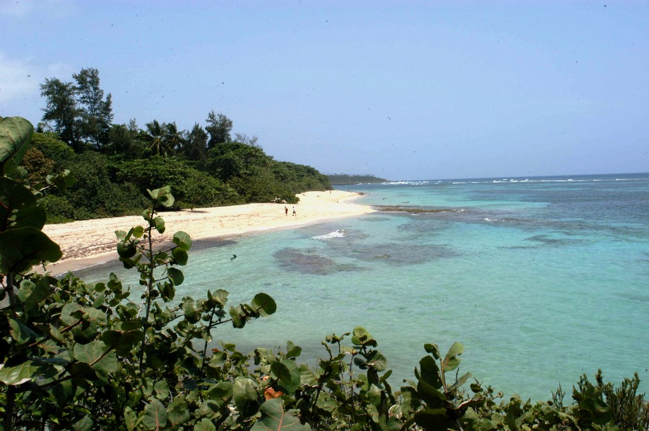 maguana