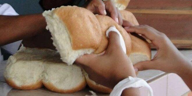 pan canasta basica