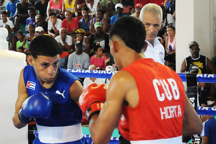 yonerki boxeador