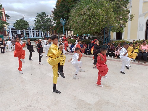 1 Wushu