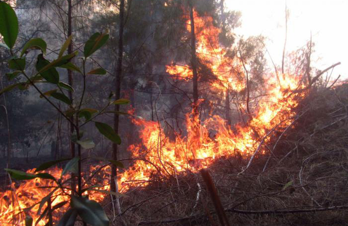 0424 incendio