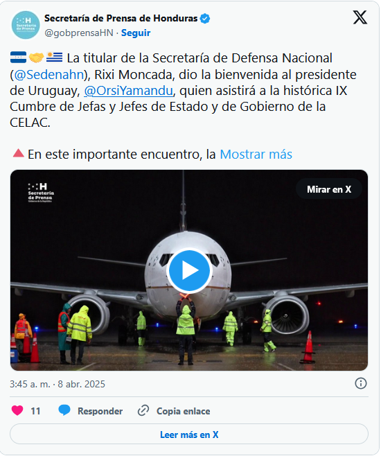 Captura de pantalla 2025 04 08 114357