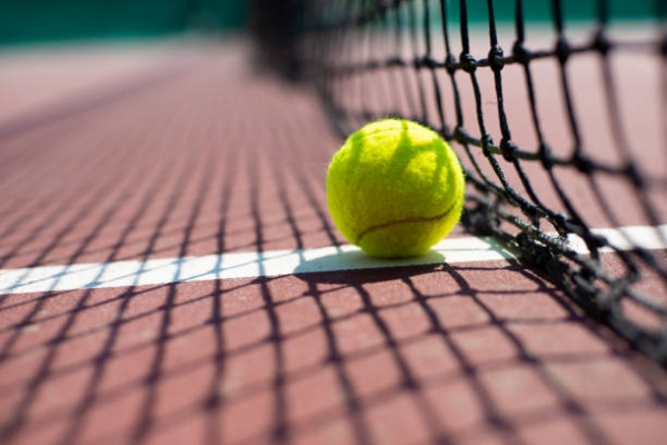 Tenis genérico bola y red