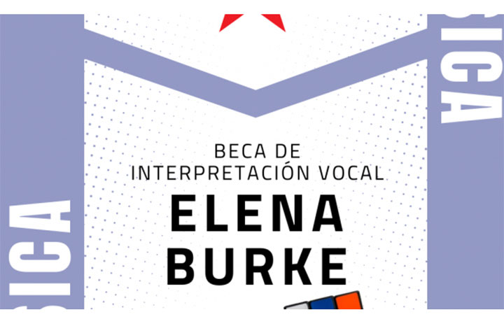 2008 elena burque beca ahs