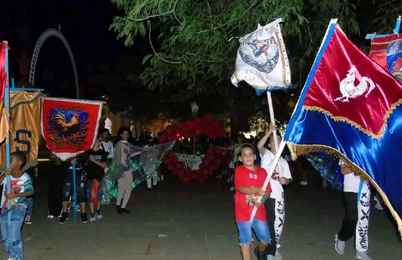 1224 parrandas remedios4