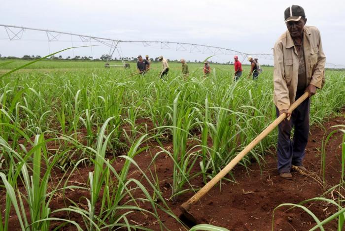 Foto Biofertilizantes