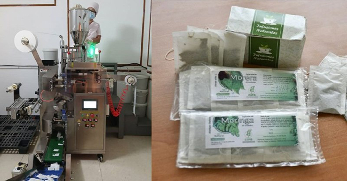 0 03 fao medicina natural