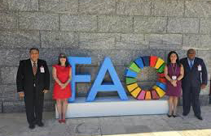 0629 fao