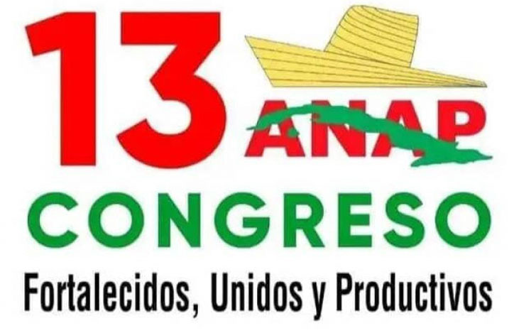 0516 congreso anap XIII