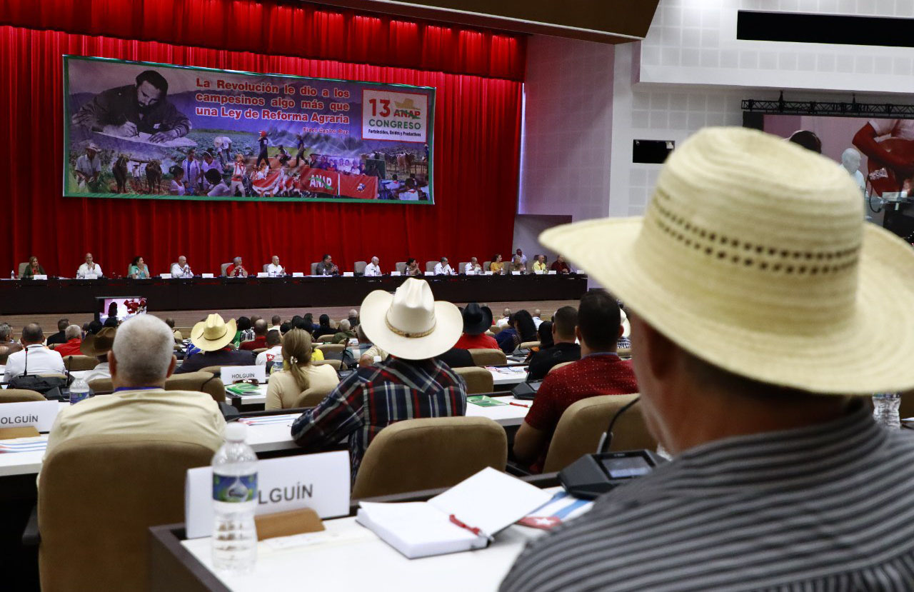 0516 xiii congreso anap4