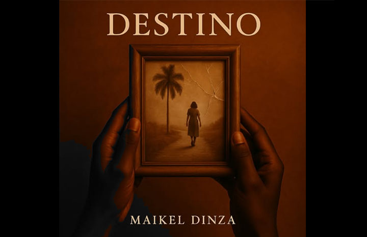 0528 dinza discografia destino