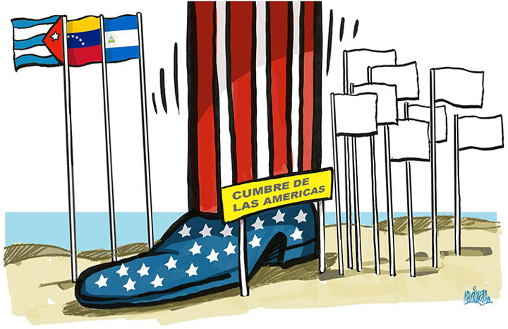 1013 imagen declaracion w