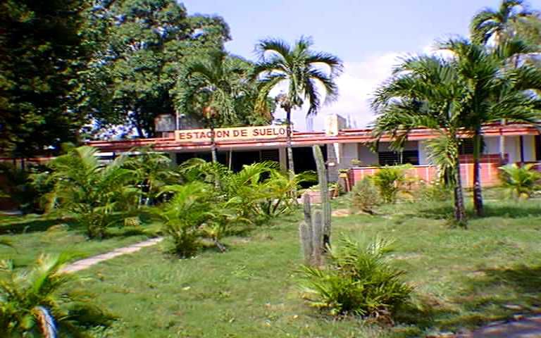 instituto suelos gtmo