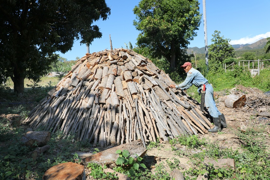Carbón foto 1