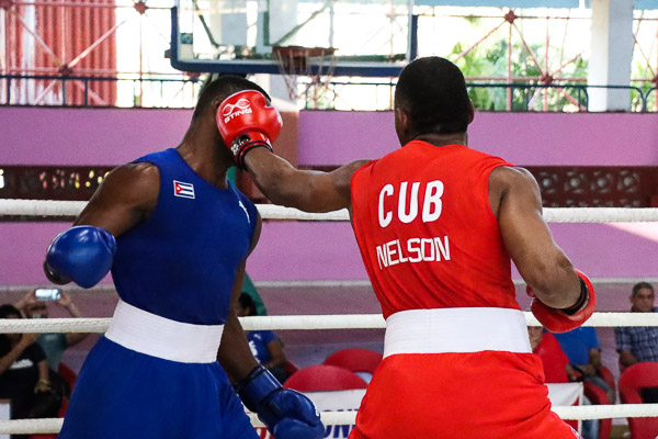 24 PG D12 Nelson Williams r 