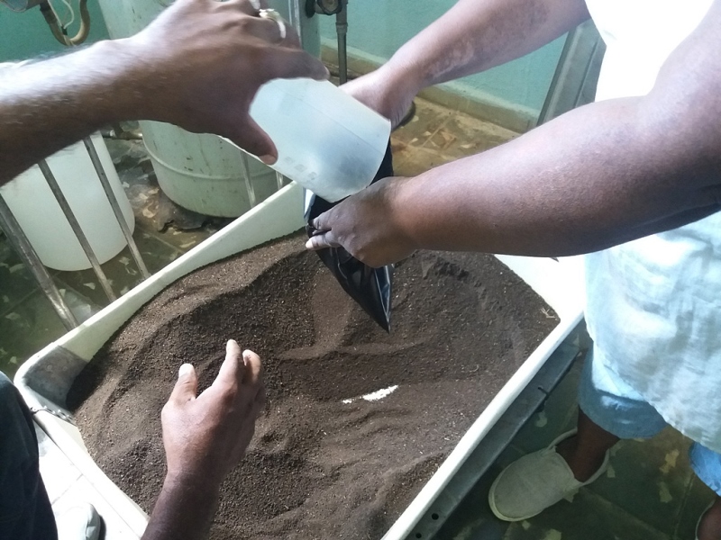 biofertilizantes2