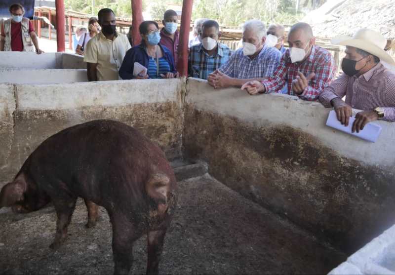 diaz canel gtmo5
