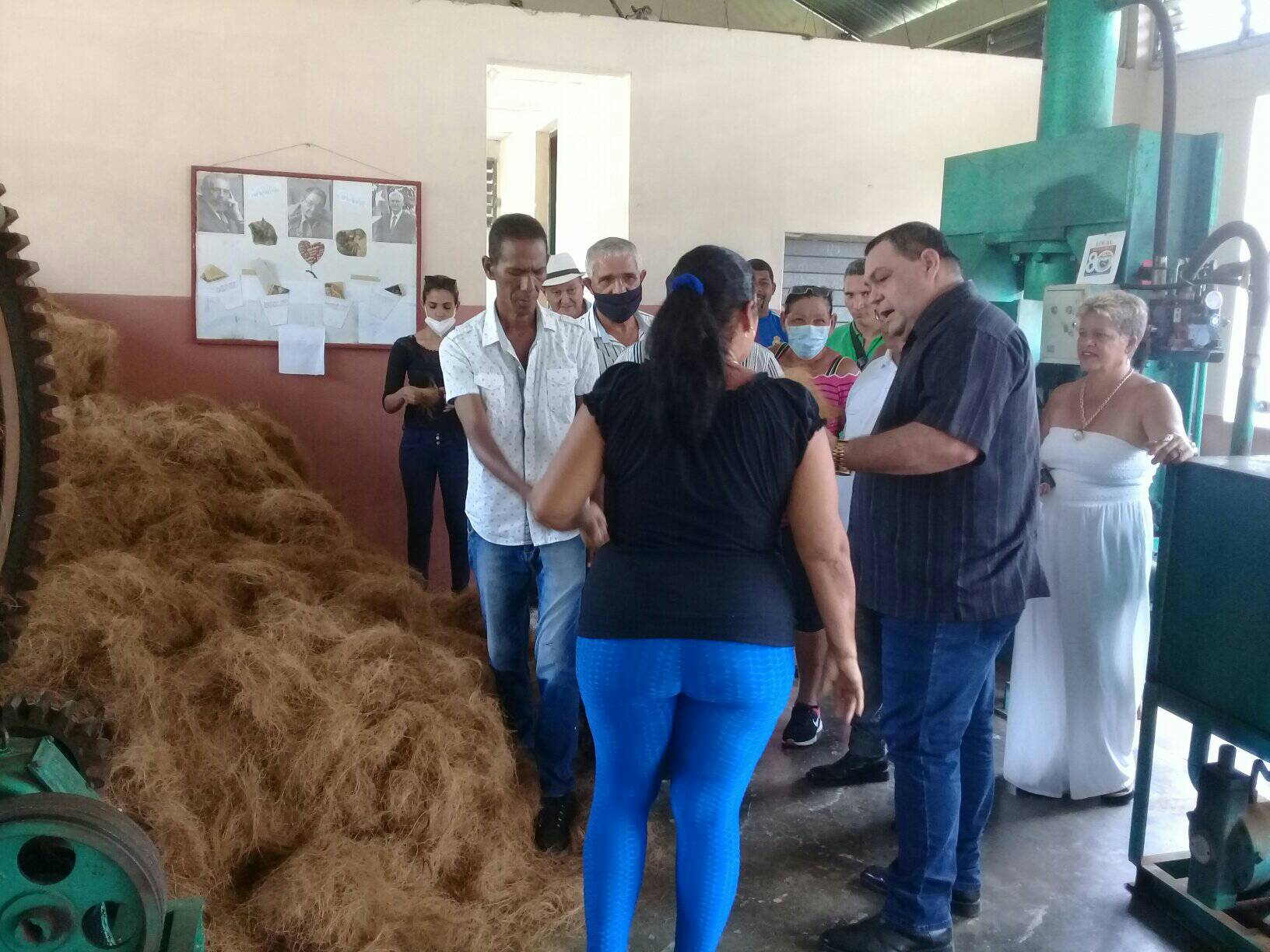 baracoa visita desfibradora coco4