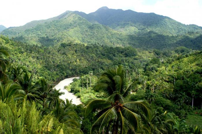 bosques Guantánamo