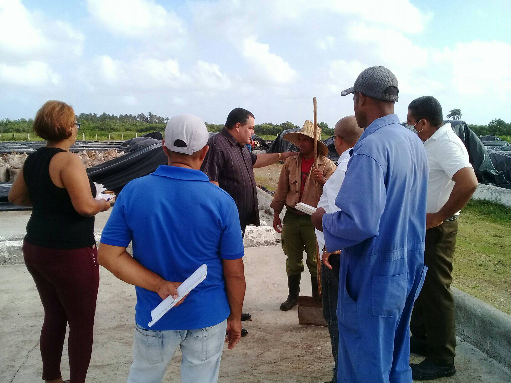 visita baracoa coco