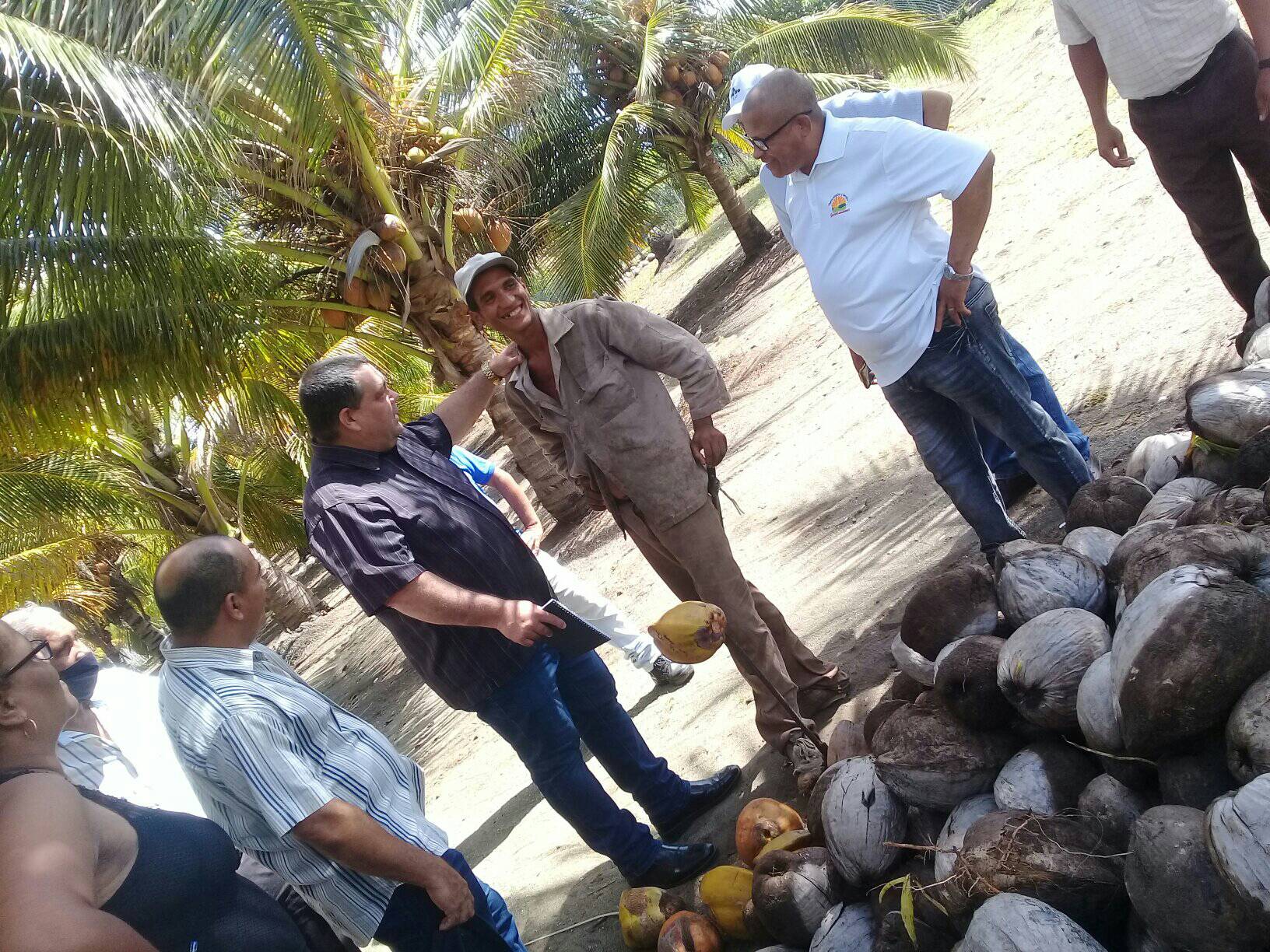 visita baracoa coco3