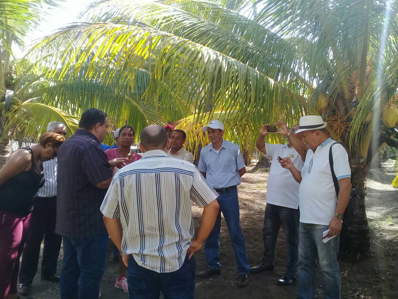 visita baracoa coco4