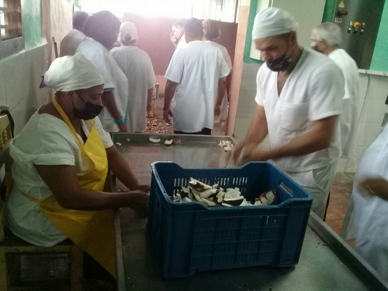 visita baracoa fabrica conservas2