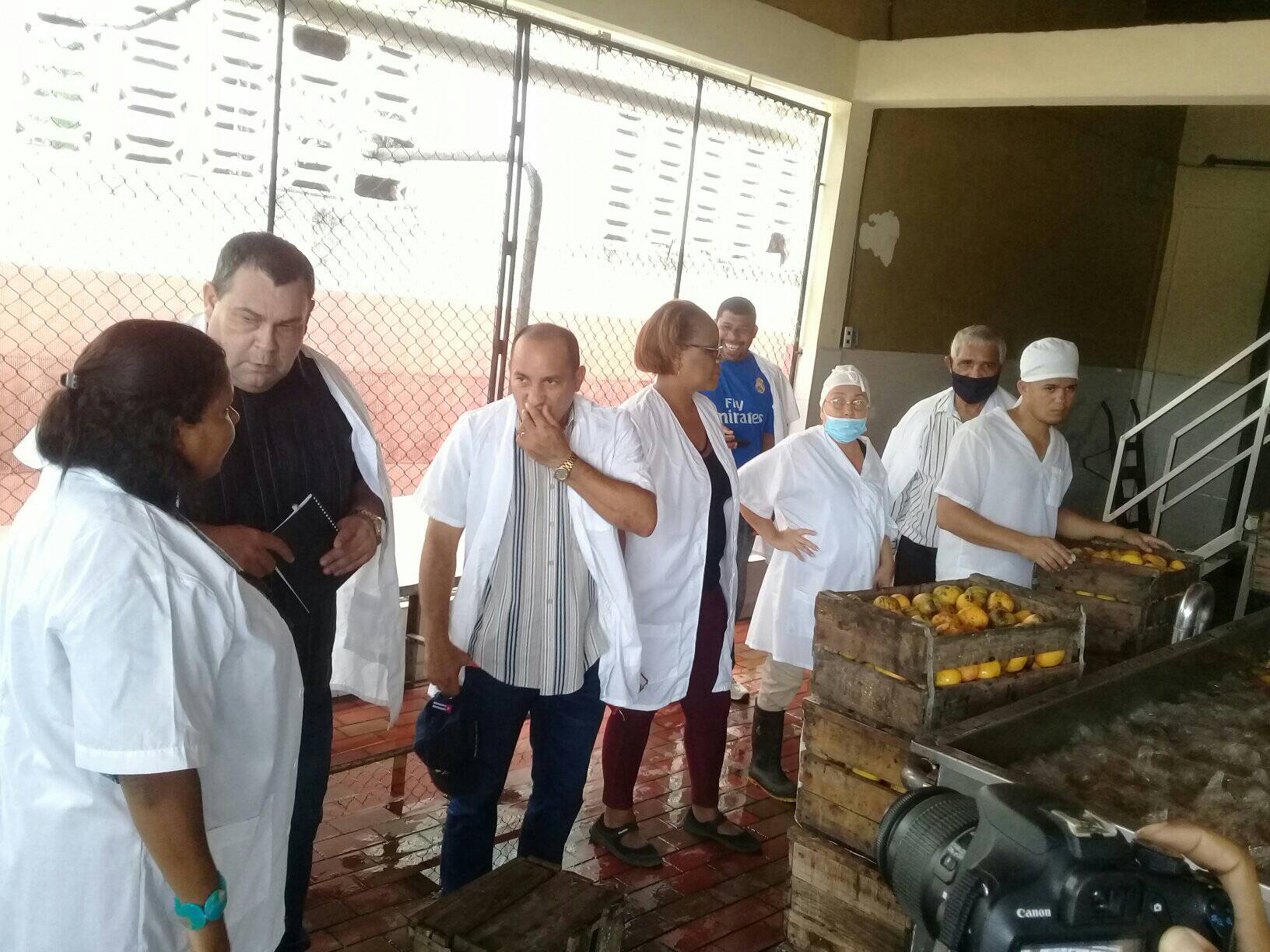 visita baracoa fabrica conservas3