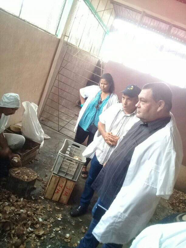 visita baracoa fabrica conservas4