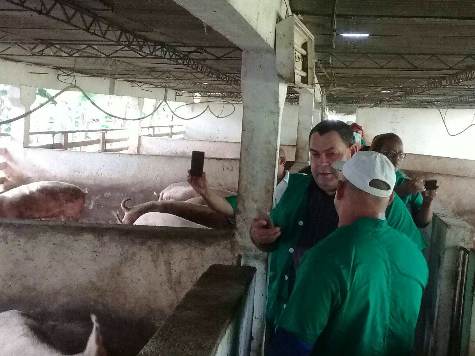 visita baracoa puercos ccpcc