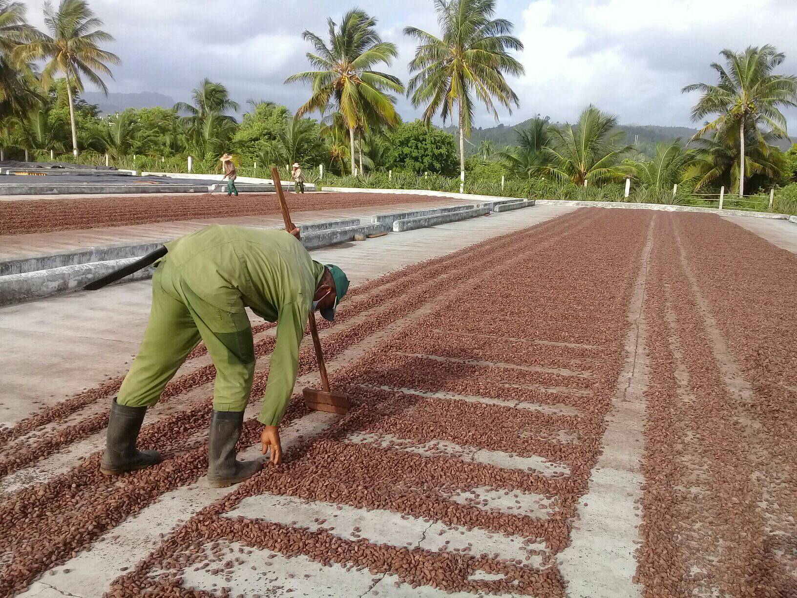 visita baracoa secadero2