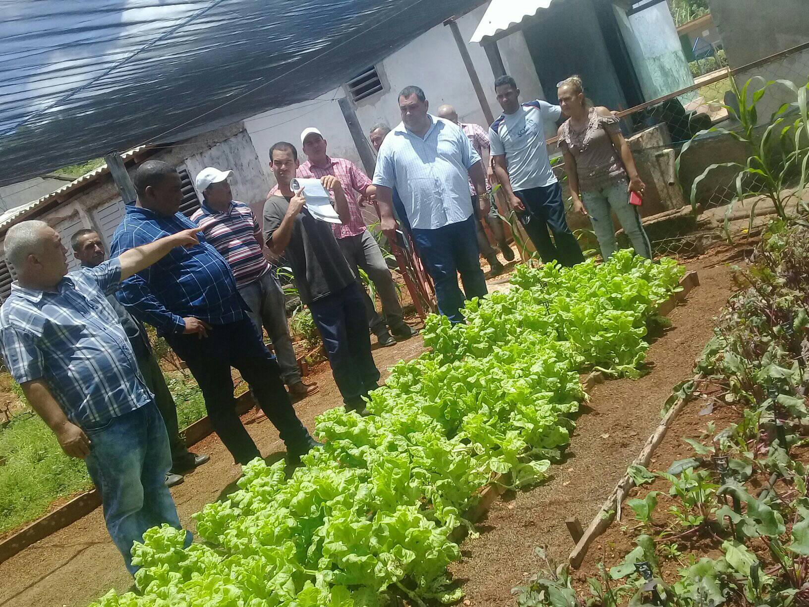 visita maisi ubpc4