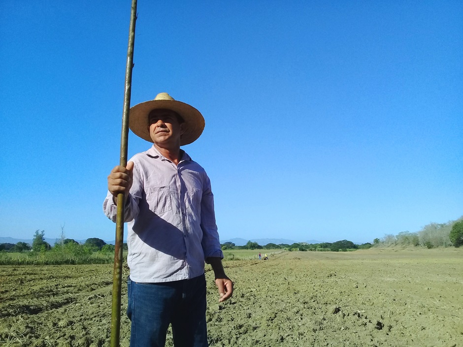 3 Chichito