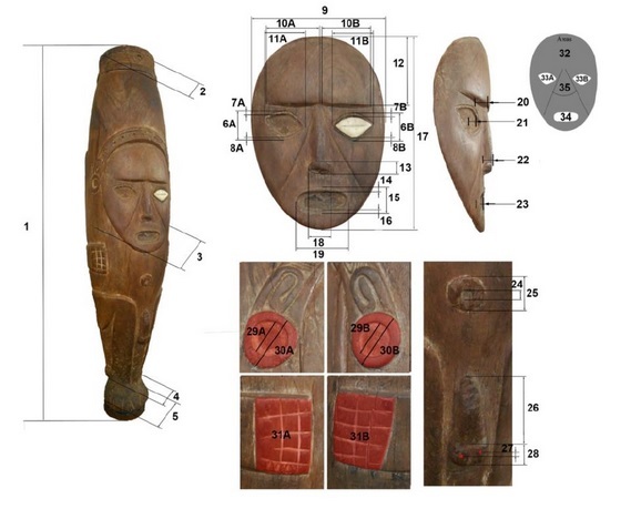 cemi 3d