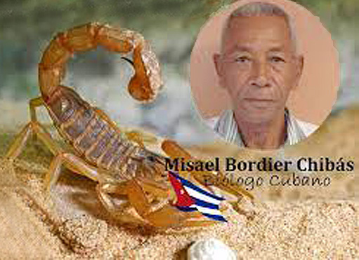 Misael