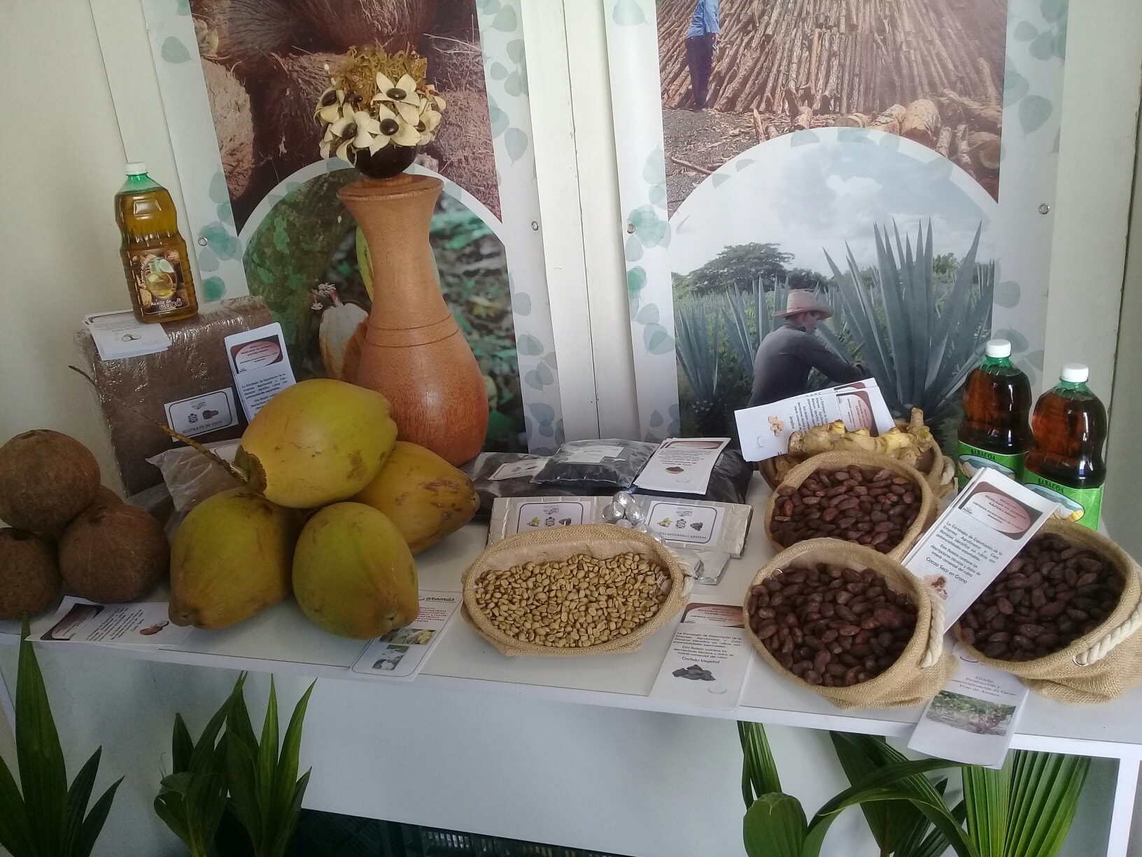 feria biocuba2