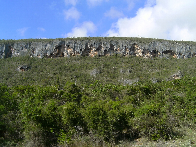 Terrazas