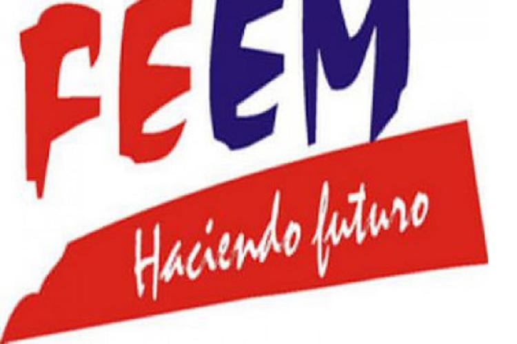 FEEM
