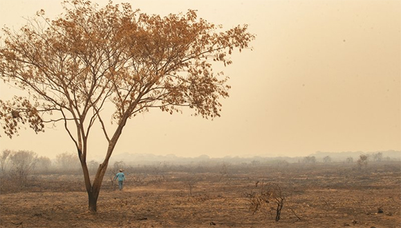 Incendio pantanal brasil sept 2020