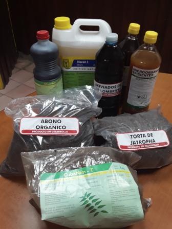 Labiofam 1