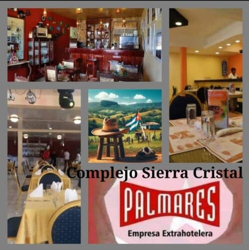 Palmares 3