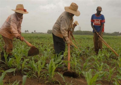 agricultura afectada bloqueo faco