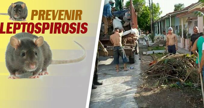 1004 Leptospirosis prevencion