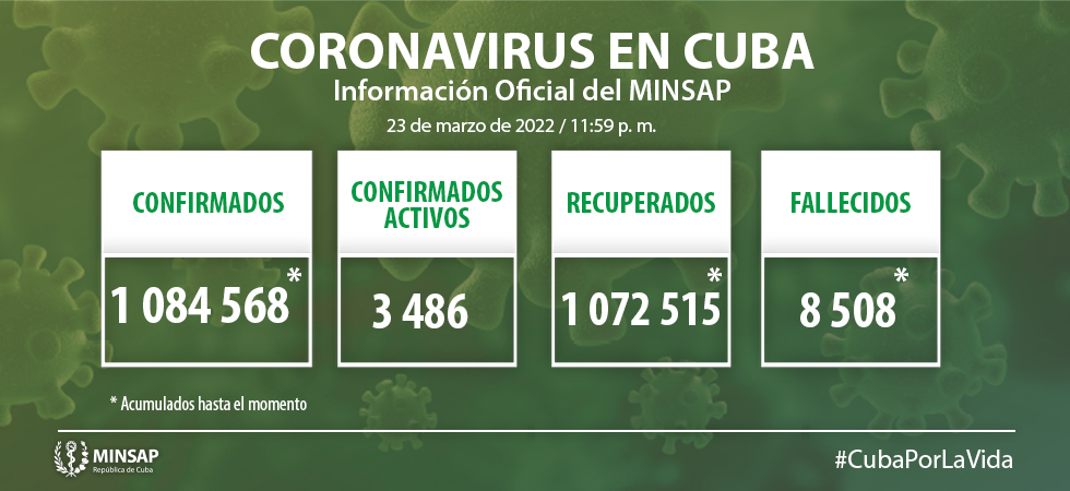 Grafico 1 5